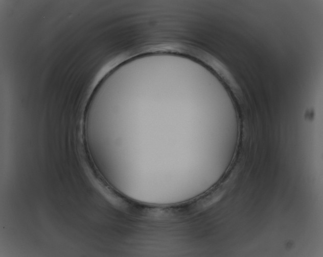 X0000096691234200802051029