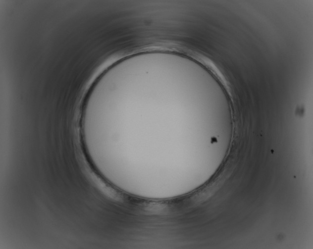 X0000096691235200802051029