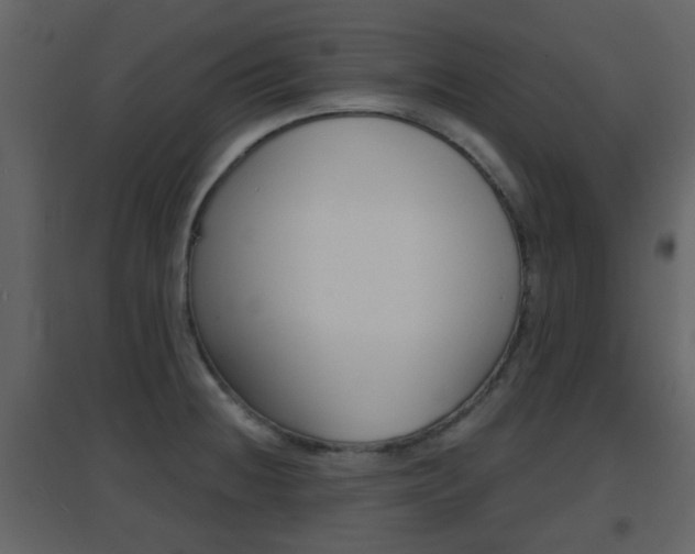 X0000096691236200802051029