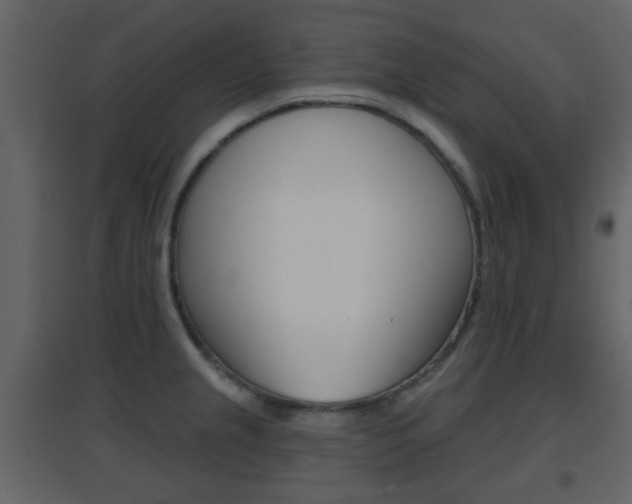 X0000096691237200802051029