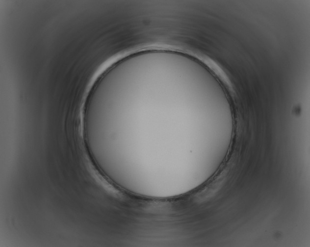 X0000096691238200802051029