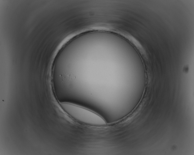 X0000096691240200802051029