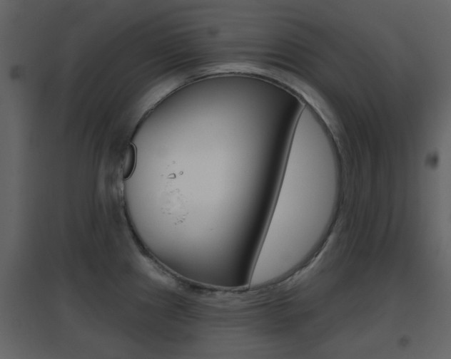 X0000096691241200802051029