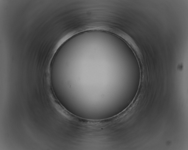 X0000096691242200802051029