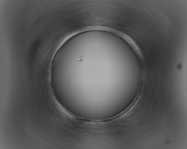 X0000096691244200802051029