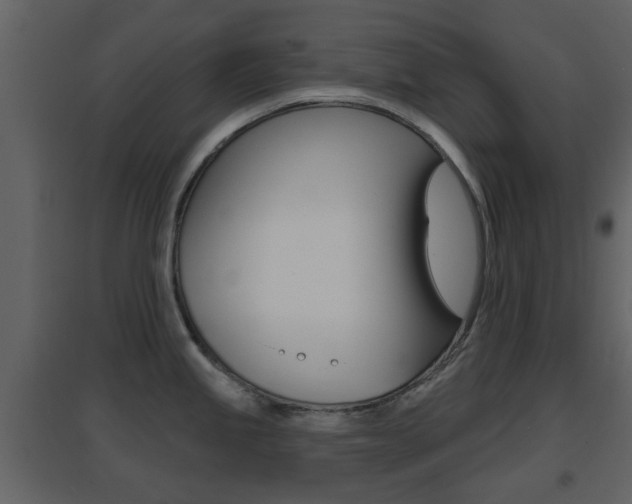 X0000096691245200802051029