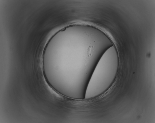X0000096691247200802051029