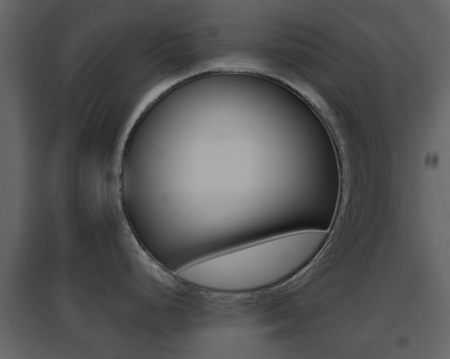 X0000096691248200802051029