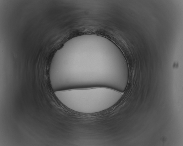 X0000096691250200802051029