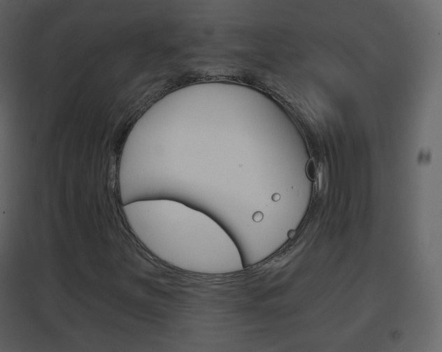 X0000096691251200802051029