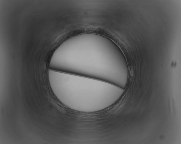 X0000096691252200802051029