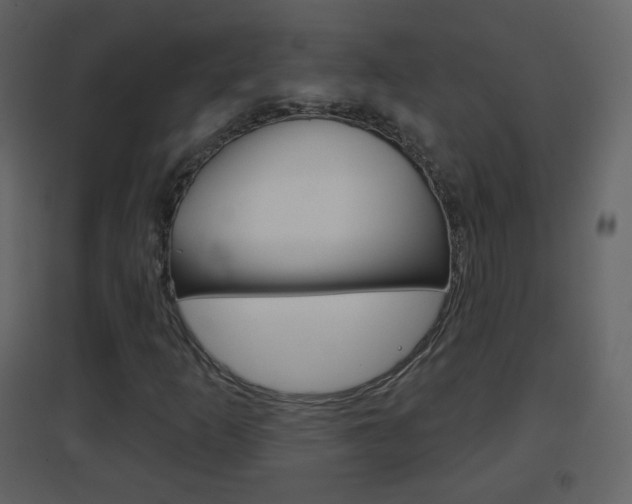 X0000096691253200802051029
