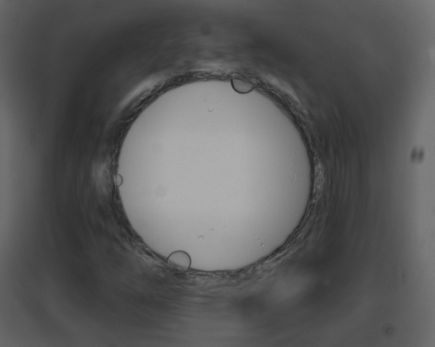 X0000096691254200802051029