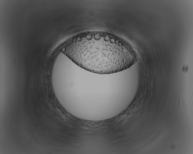 X0000096691255200802051029