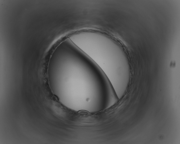 X0000096691256200802051029