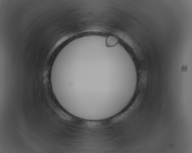 X0000096691258200802051029