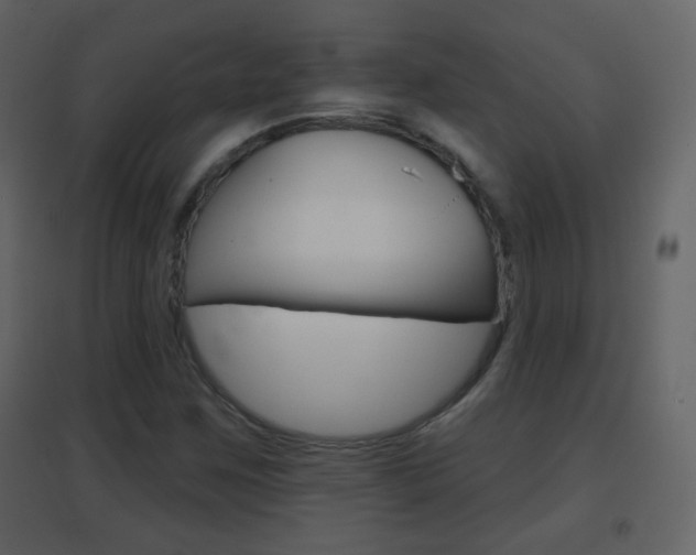 X0000096691259200802051029