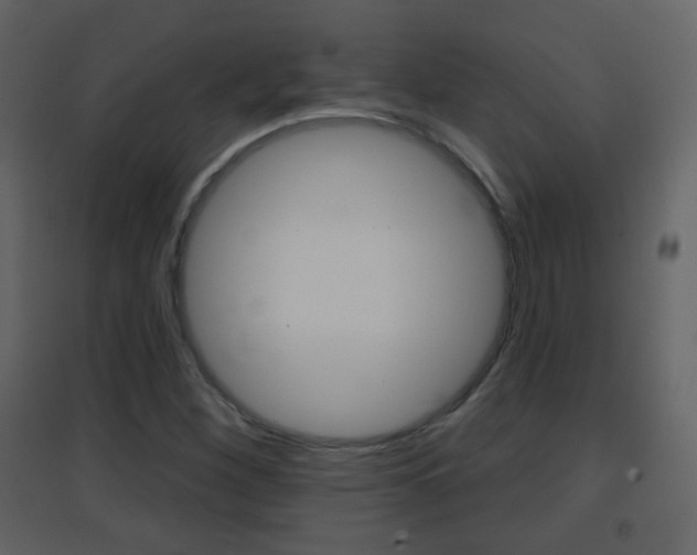 X0000096691260200802051029