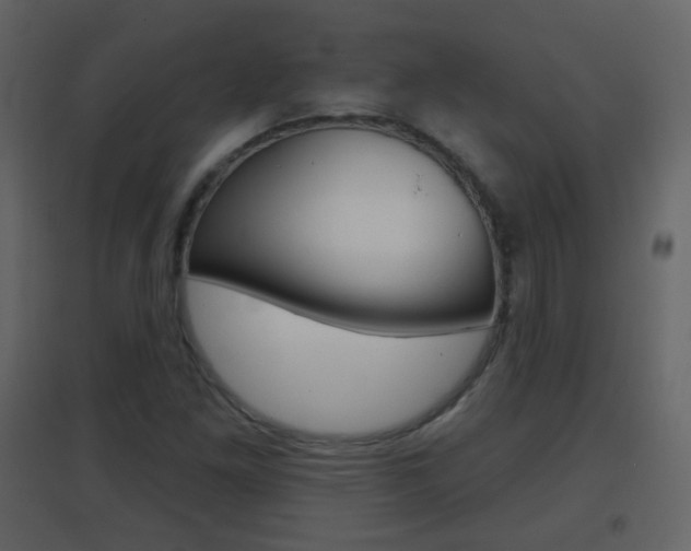 X0000096691261200802051029