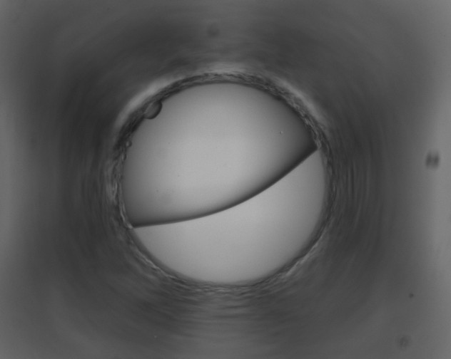 X0000096691262200802051029