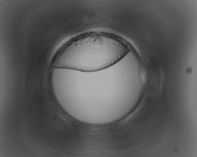 X0000096691263200802051029