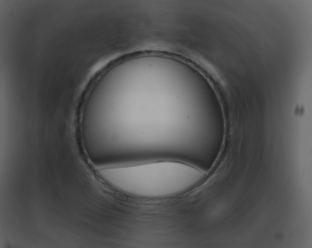 X0000096691264200802051028