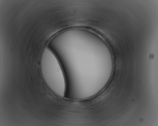 X0000096691265200802051028