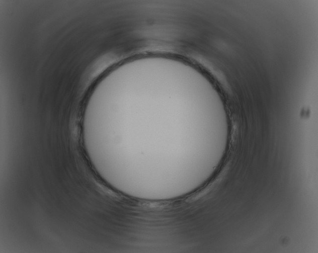X0000096691266200802051028