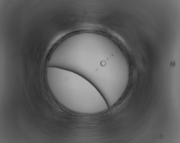 X0000096691267200802051028