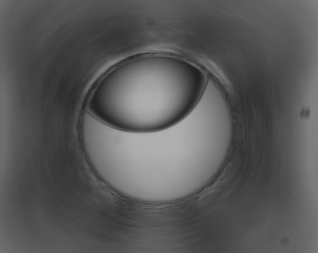 X0000096691268200802051028
