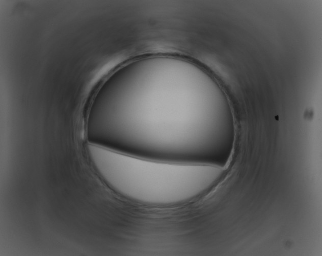 X0000096691269200802051028