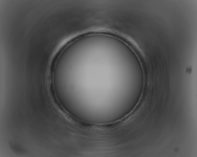 X0000096691270200802051028