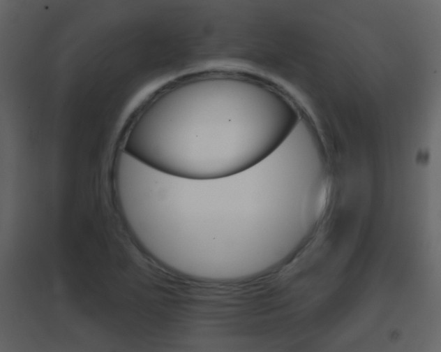 X0000096691271200802051028