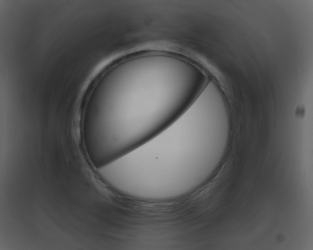 X0000096691272200802051028