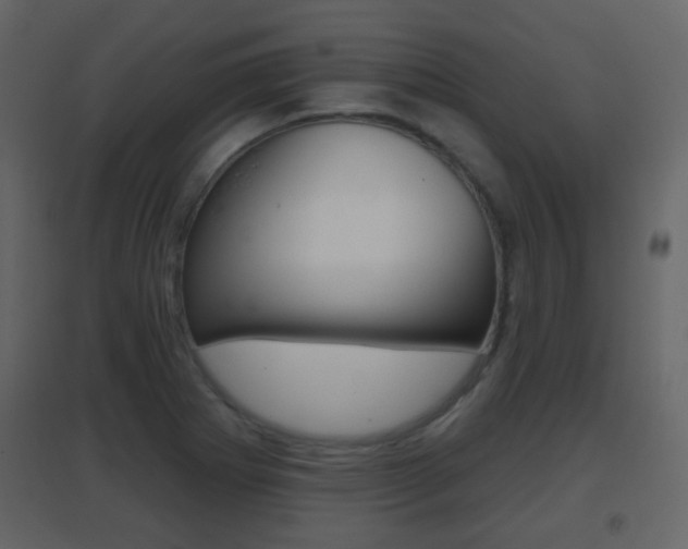 X0000096691273200802051028