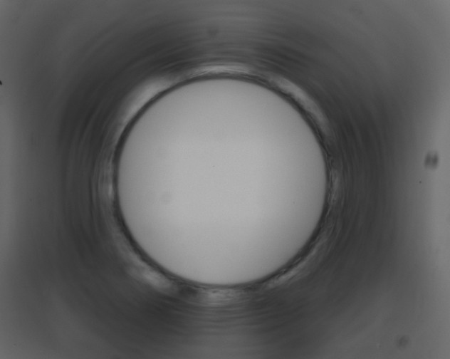 X0000096691274200802051028