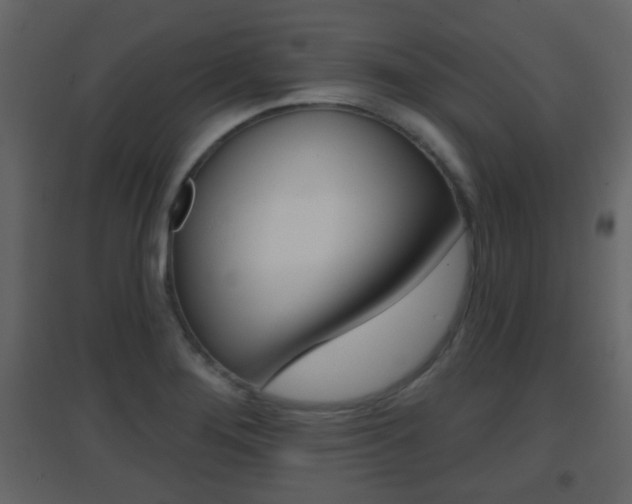 X0000096691276200802051028