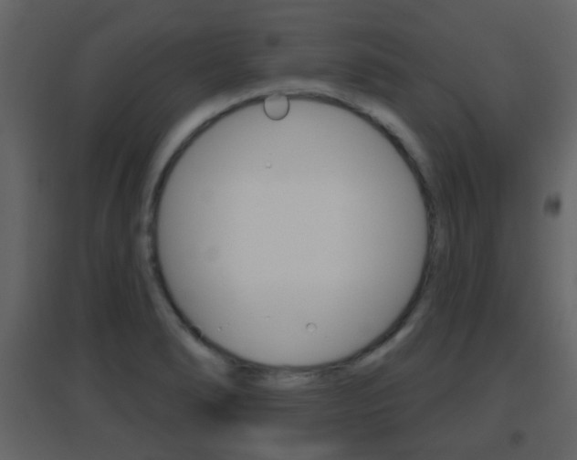 X0000096691278200802051028