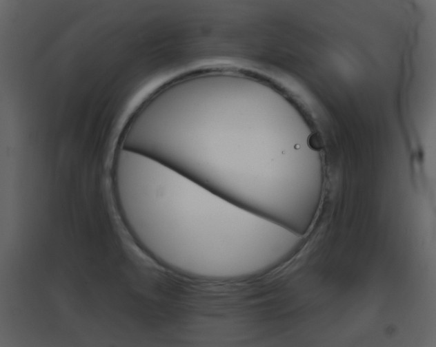 X0000096691279200802051028