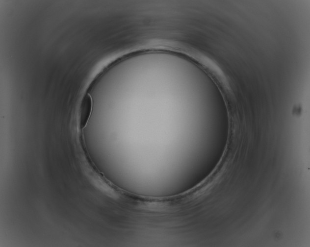 X0000096691280200802051028