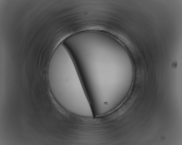 X0000096691281200802051028