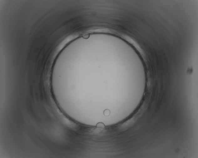 X0000096691282200802051028