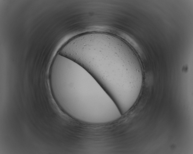 X0000096691283200802051028