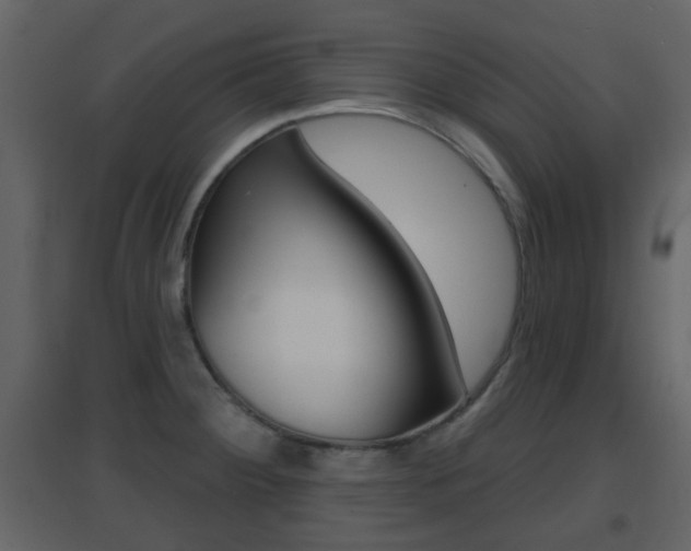 X0000096691284200802051028