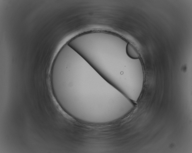 X0000096691287200802051028