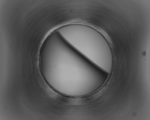 X0000096691288200802051028