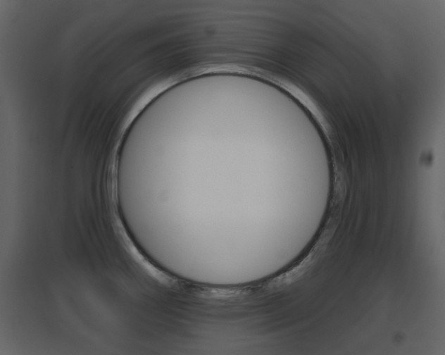 X0000096691290200802051028