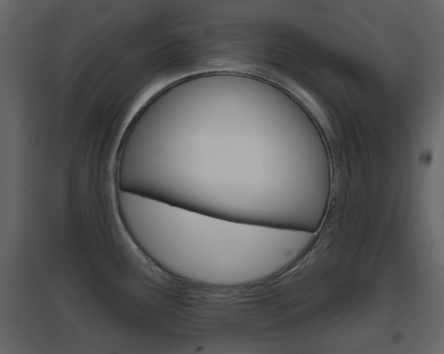 X0000096691291200802051028