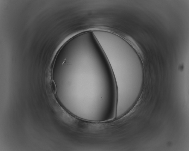 X0000096691292200802051028