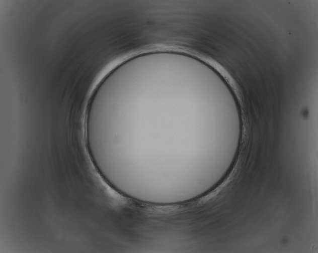 X0000096691294200802051028